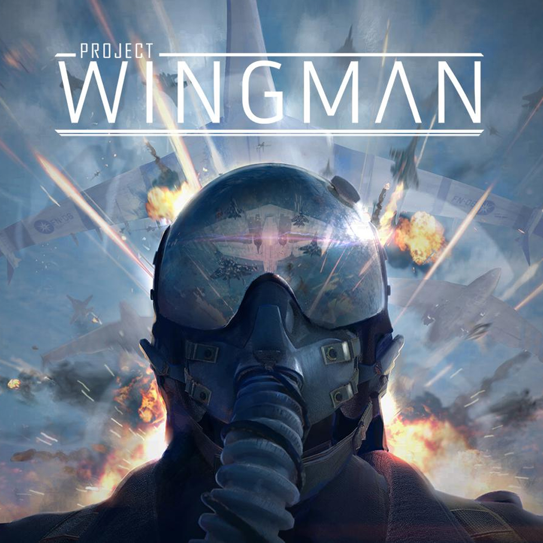 Screenshot of Project: Wingman